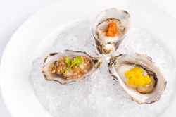 Shigoku Oysters