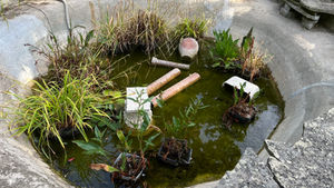 KOI Pond Refurbishment With Fiberglassing