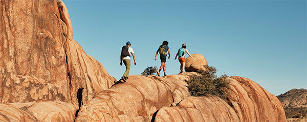 Volume 99: Day Hiking for Beginners content media