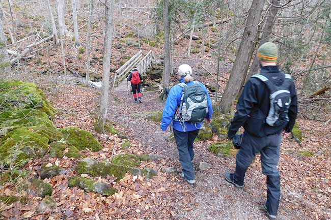 Walking Fern Hike