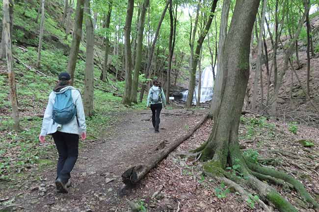 Dundas Valley Hike