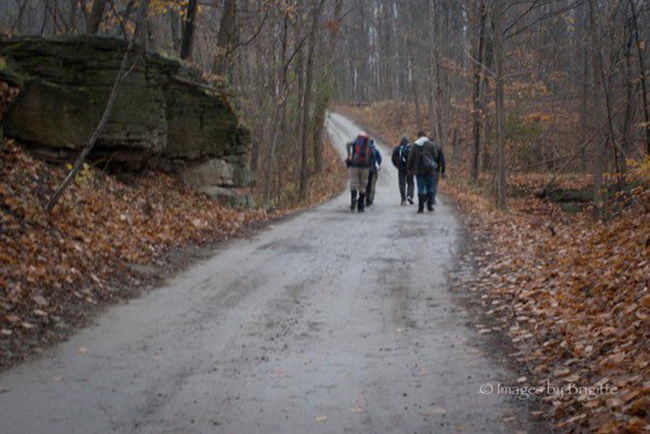 Merriton Hike