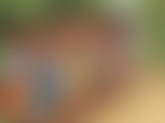 A Divina Providência