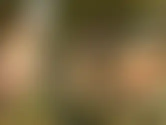 Os enganos da vaidade
