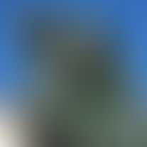 Que fazemos de especial?