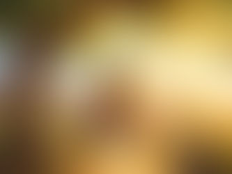 Promessas vazias de Ano Novo