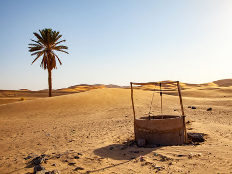Weekly Sermon Insights: The Samaritan Woman at the Well (John 4:1-42)