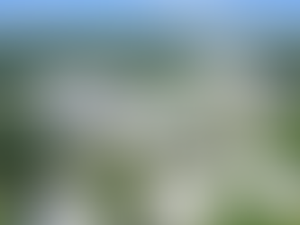 Ram Announces Sale of Two Retail Assets in North Carolina