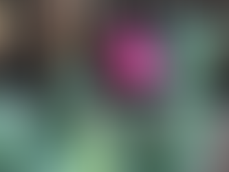 Unfolding into the day