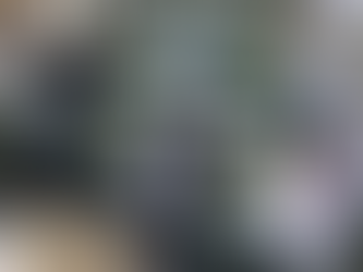 We must take root and grow or die where we stand*