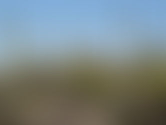 Walking With The Ancients