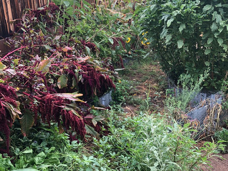 Monsoon season: sandbag it