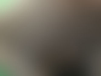 Dancing with Helen Martins*