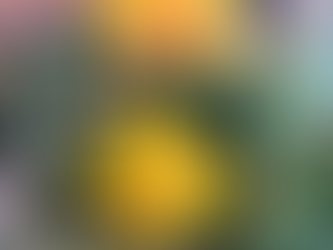 Diwali blessings from the jaws of the tiger