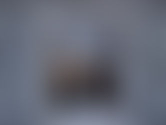 Mesquite and the moon meditations: reflecting on the desert archaic