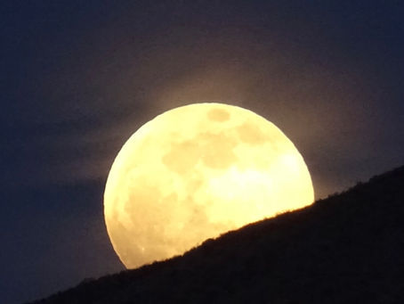 Moonstoried on rooftops mostly