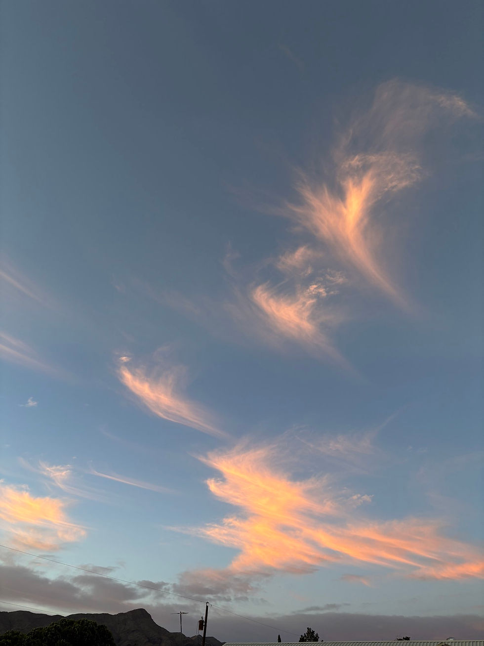 Monsoon morning diary notes