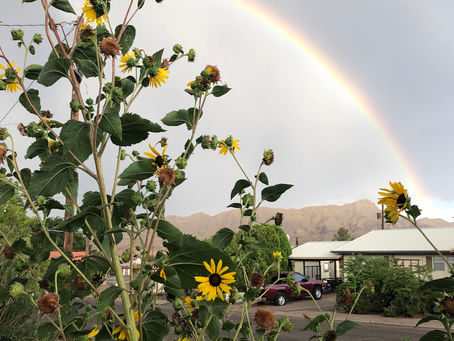 Monsoon season light show