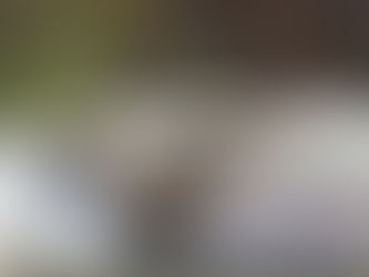 Kitchen window camera