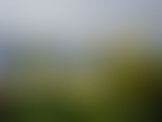 Another Mid Year Full Moon