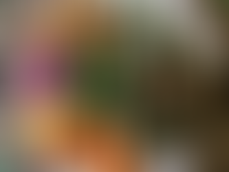 Catch of the day: Caribbean dreaming.