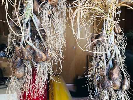 Love Minus Zero/No Limit