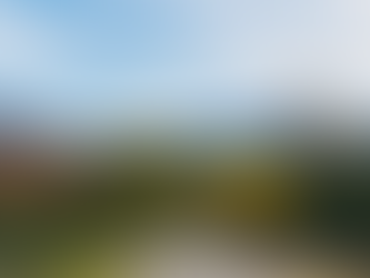 Animas Creek wondering