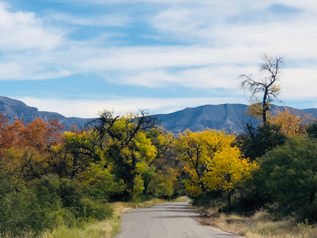 Animas Creek wondering