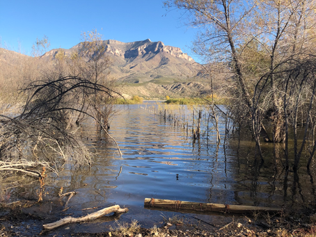 Up the creek without a paddle