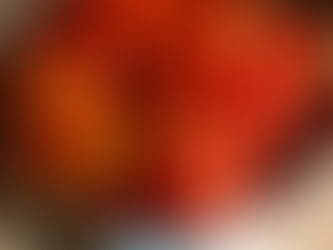 Abundance: garden gone wild