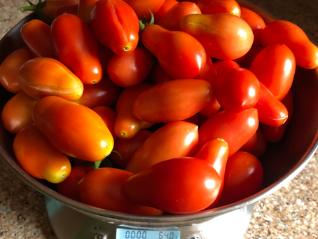 Abundance: garden gone wild