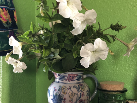 Perennial gifts from the garden