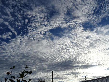 Monsoon morning meditation
