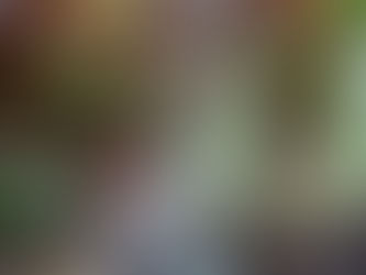 Taking the measure of a storm