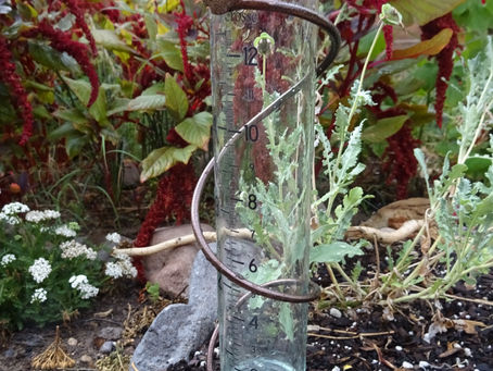 Taking the measure of a storm