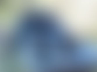 Not just for the birds