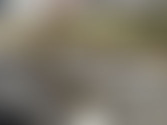 Making the birds and the bees happy