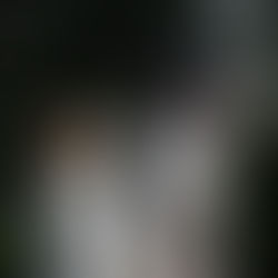 3 tips for adopting a pet