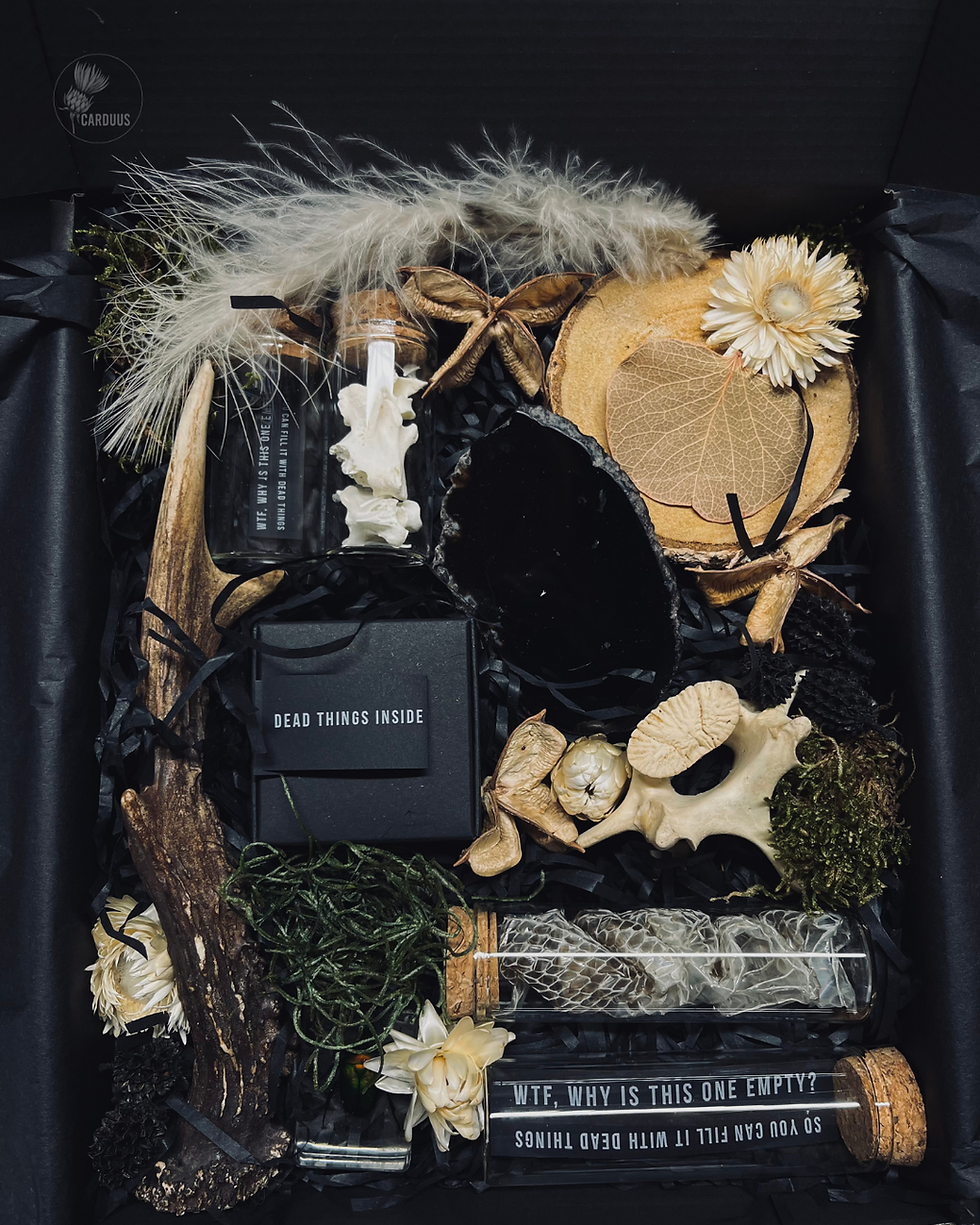 Thumbnail: Dead Things DIY Box No. V