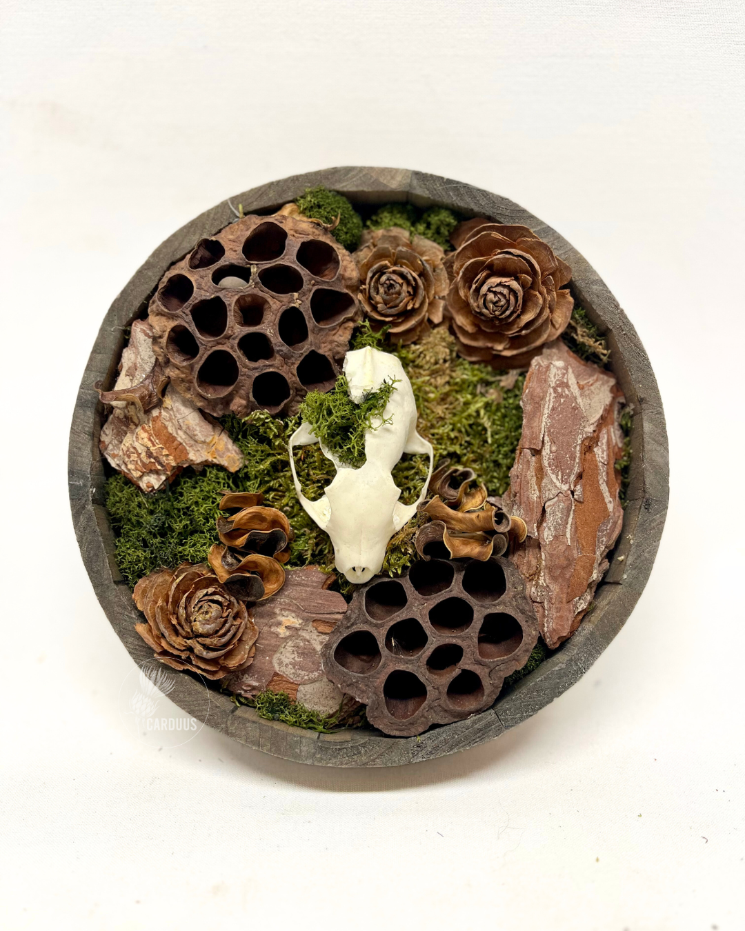 Forest Marten - Circle Wallhanger