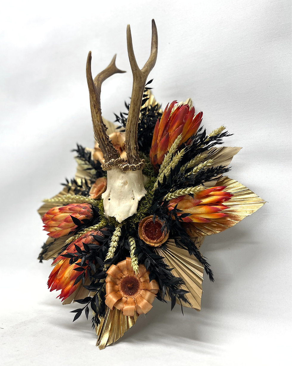 Thumbnail: Cinder - Roebuck skull wall hanger