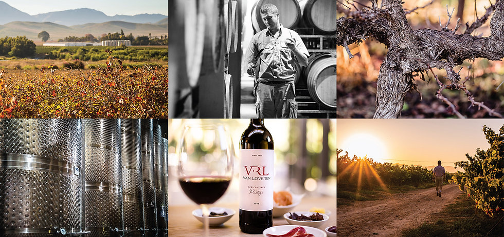 Our Wines.jpeg