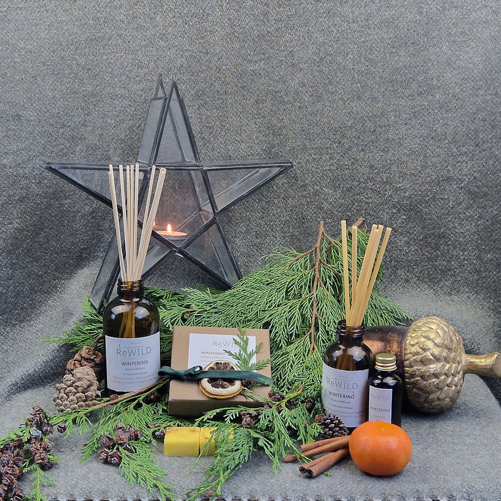 Thumbnail: Wintering - to rest and retreat. Reed diffusers, Botanical Wax Melts, pure essential oil blend