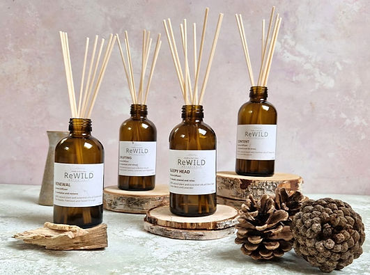 WhatsApp Image 2024-04-25 at 10_edited_e