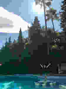 fullsizeoutput_20d5