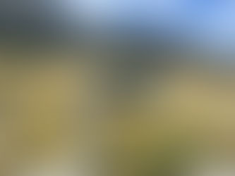 Money, Time, and Nowhere to Go: How One Entrepreneur Kept His Momentum After a Big Exit