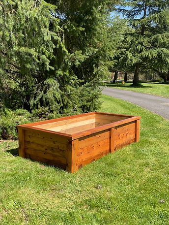 Box with coating.JPG