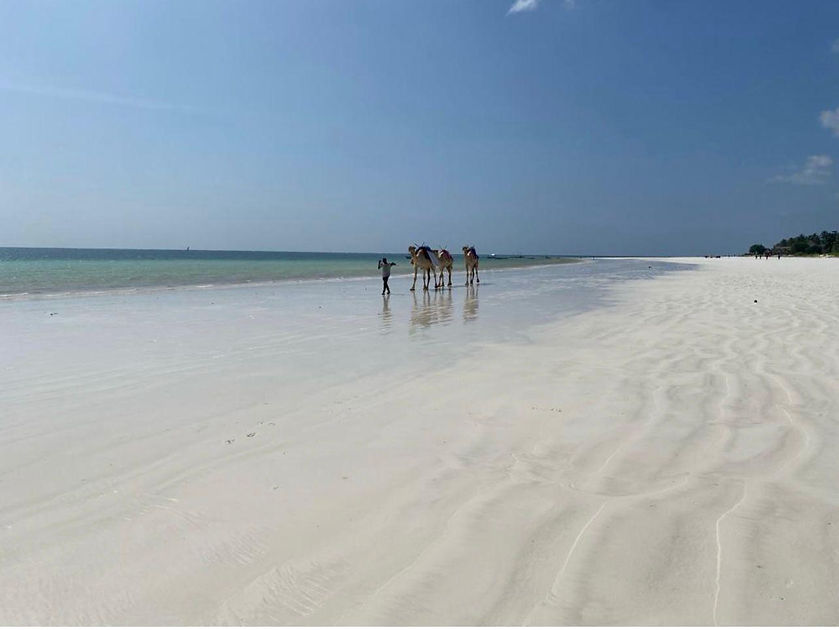 Beach Villa 036.jpeg