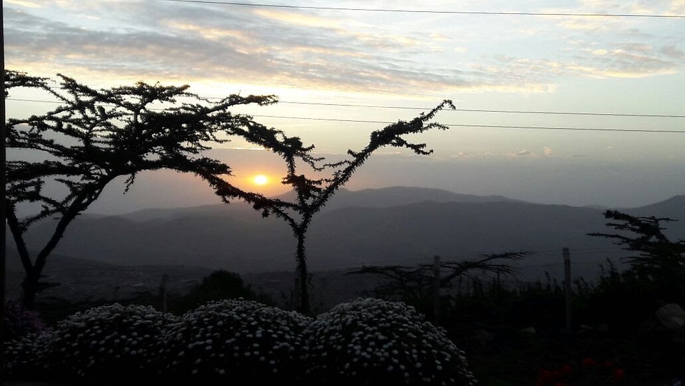 Patch of Heaven 007.jpg