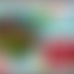 The Power Of Seaweed-Elif,Tunç,Zeynep and Hilal Benan